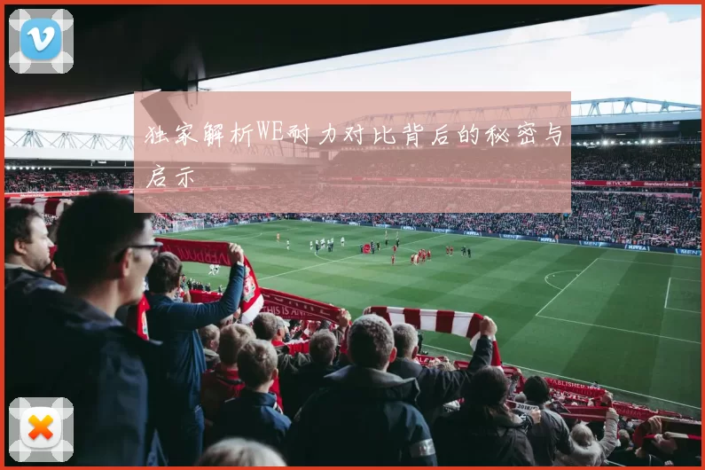 独家解析WE耐力对比背后的秘密与启示