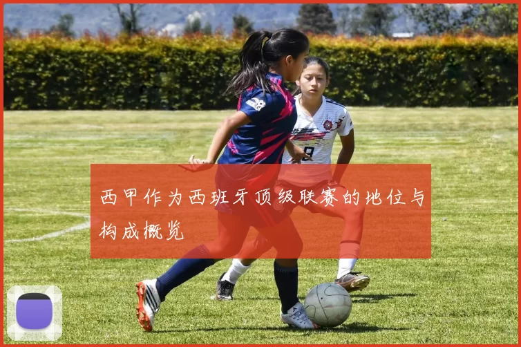 西甲作为西班牙顶级联赛的地位与构成概览