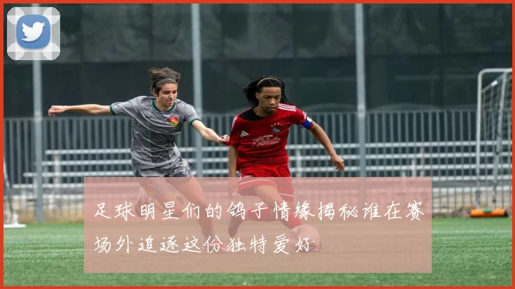 足球明星们的鸽子情缘揭秘谁在赛场外追逐这份独特爱好