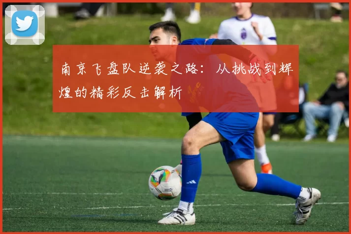 南京飞盘队逆袭之路：从挑战到辉煌的精彩反击解析