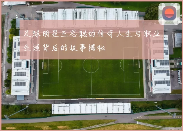 足球明星王思聪的传奇人生与职业生涯背后的故事揭秘