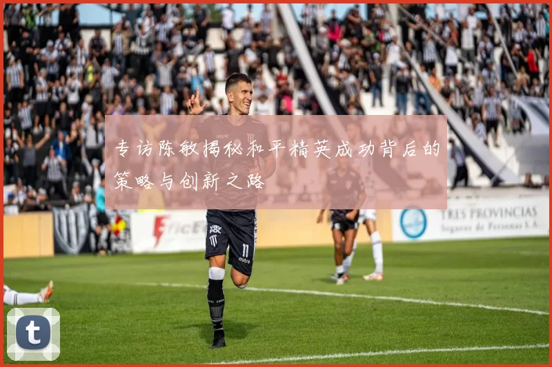 专访陈敏揭秘和平精英成功背后的策略与创新之路