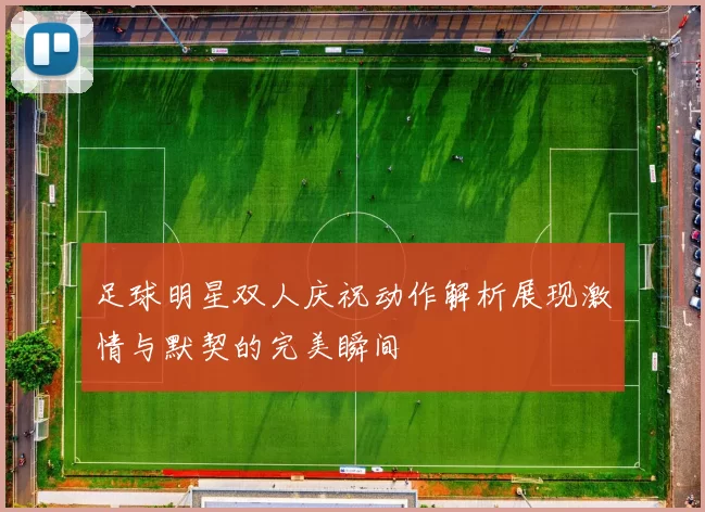 足球明星双人庆祝动作解析展现激情与默契的完美瞬间
