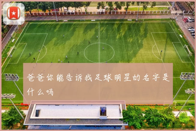 爸爸你能告诉我足球明星的名字是什么吗