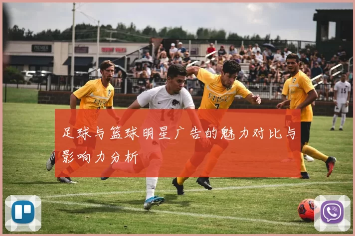 足球与篮球明星广告的魅力对比与影响力分析