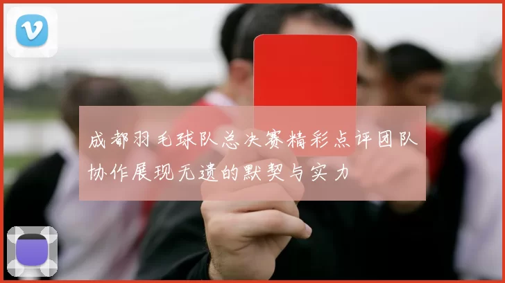 成都羽毛球队总决赛精彩点评团队协作展现无遗的默契与实力