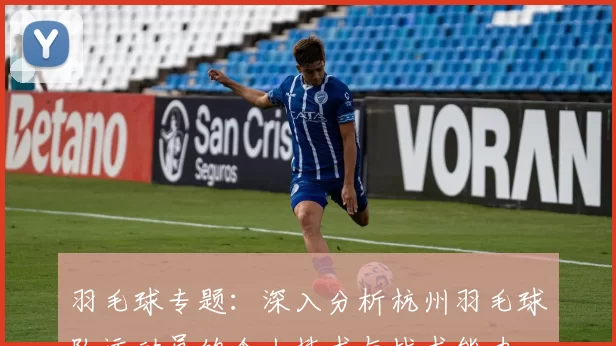 羽毛球专题：深入分析杭州羽毛球队运动员的个人技术与战术能力