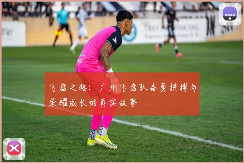 飞盘之路：广州飞盘队奋勇拼搏与荣耀成长的真实故事