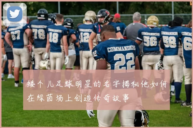 矮个儿足球明星的名字揭秘他如何在绿茵场上创造传奇故事