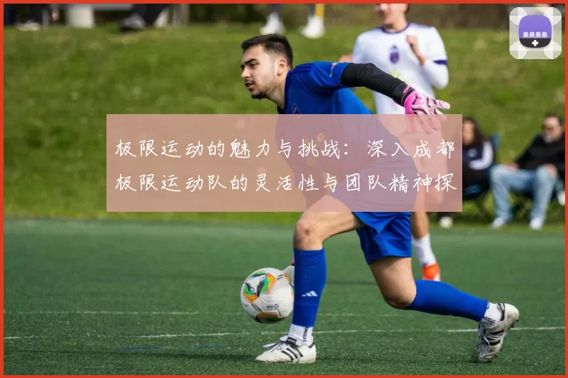 极限运动的魅力与挑战：深入成都极限运动队的灵活性与团队精神探索
