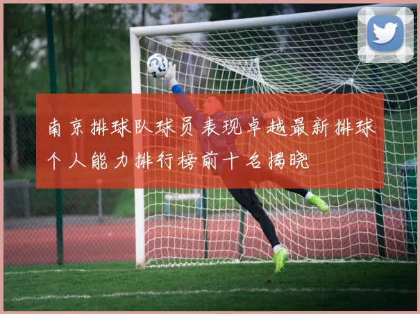南京排球队球员表现卓越最新排球个人能力排行榜前十名揭晓
