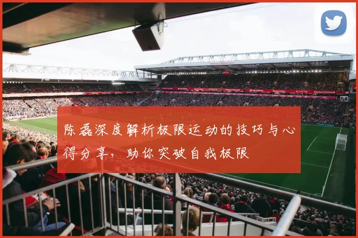 陈磊深度解析极限运动的技巧与心得分享，助你突破自我极限
