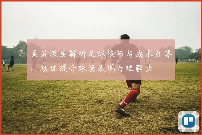 吴芳深度解析足球技巧与战术分享，助你提升球场表现与理解力