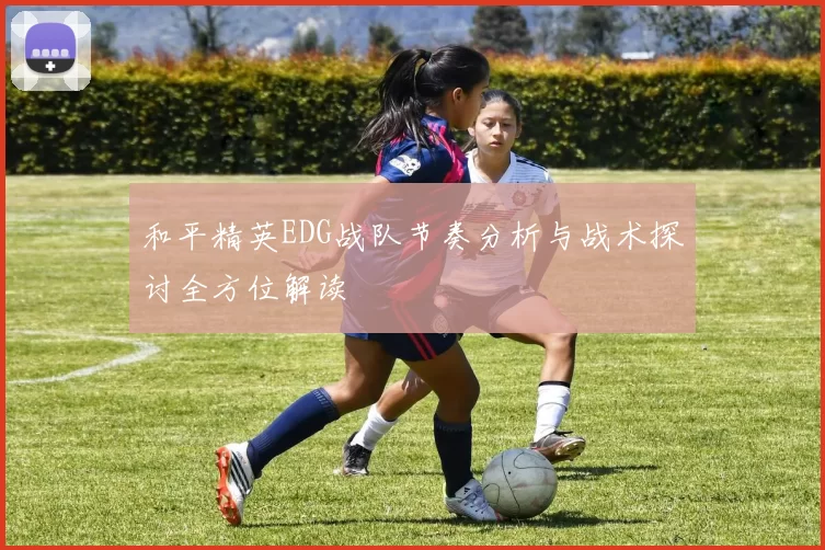 和平精英EDG战队节奏分析与战术探讨全方位解读