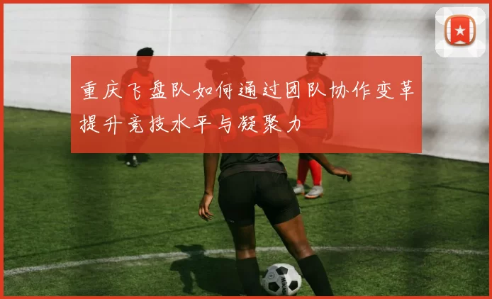 重庆飞盘队如何通过团队协作变革提升竞技水平与凝聚力