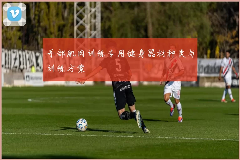 手部肌肉训练专用健身器材种类与训练方案