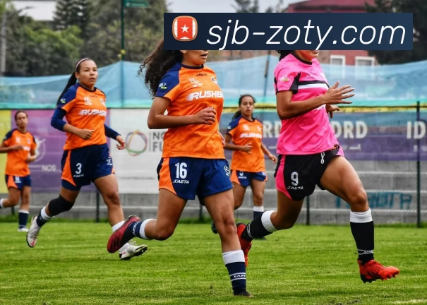 中欧体育平台生态图